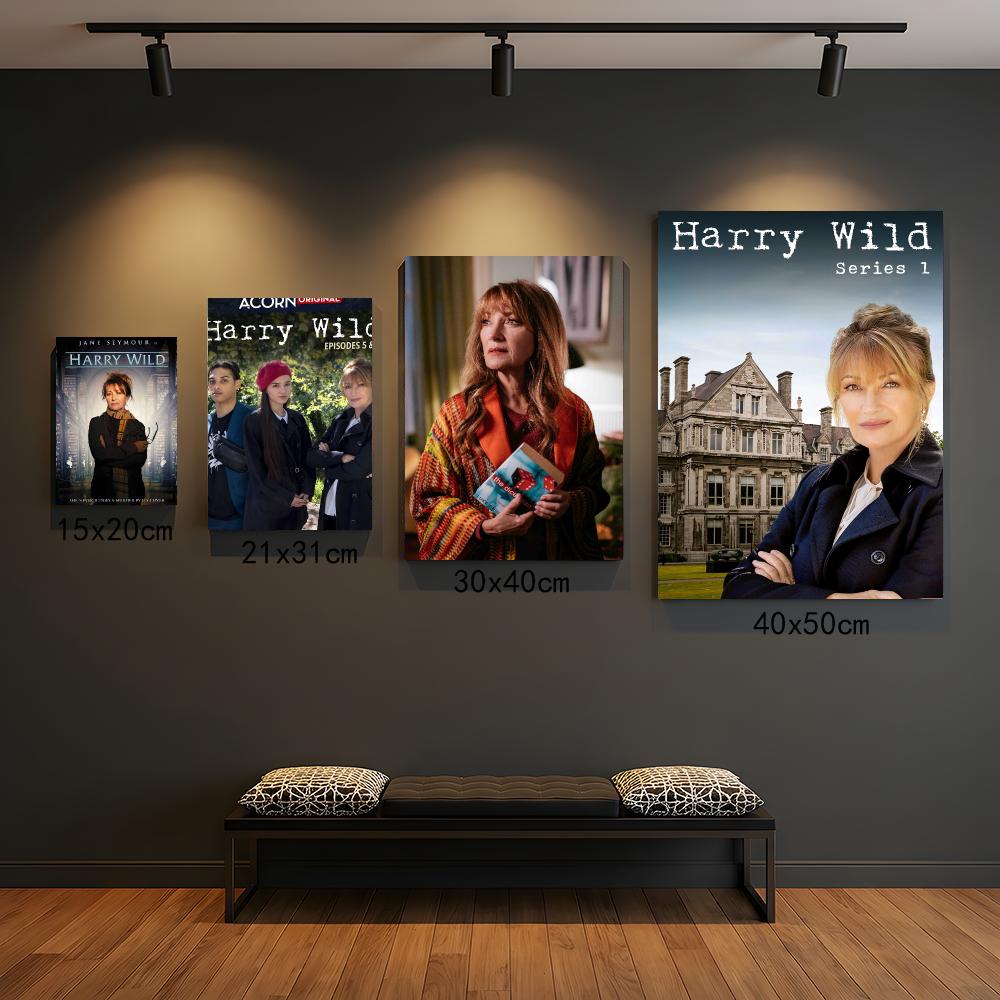 Série de TV H-Harry Wild-D Pin - Interior Design Tv Room avaliação e preço